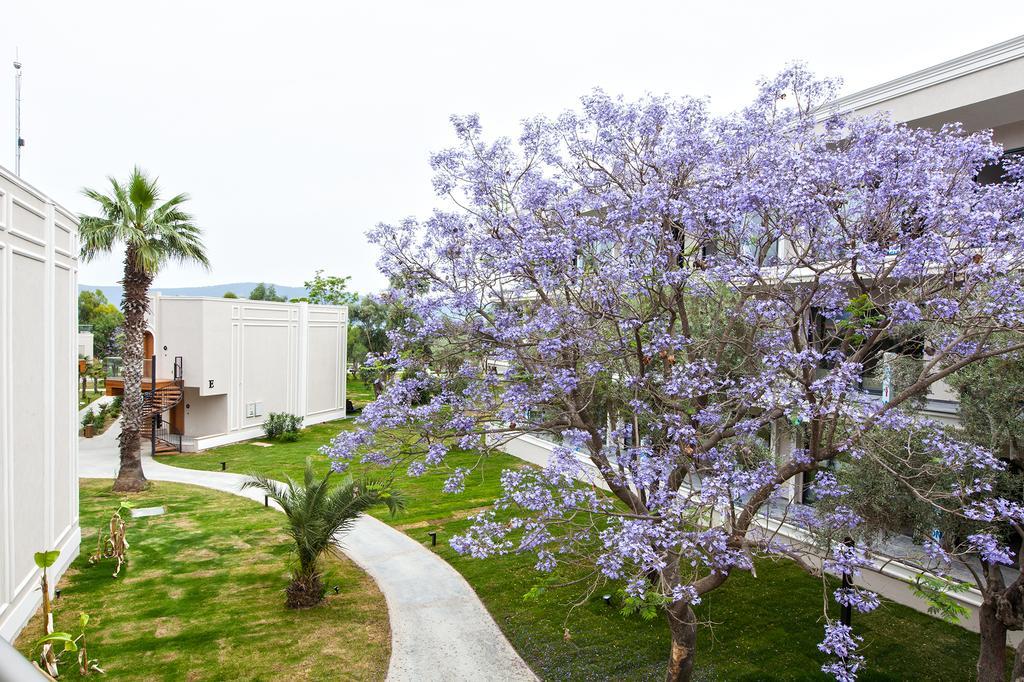 Aurum Didyma Spa & Beach Resort Akbük 외부 사진